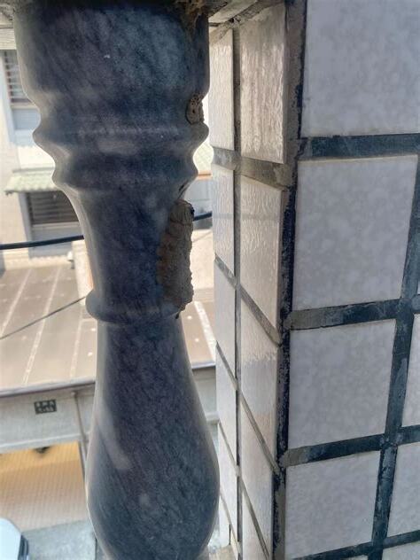 陽台有蜂巢