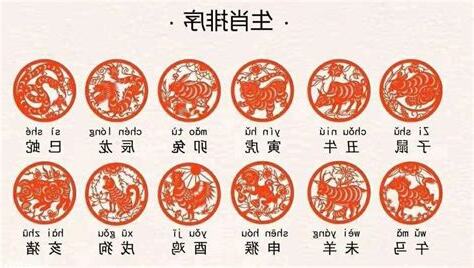 1955年生肖五行