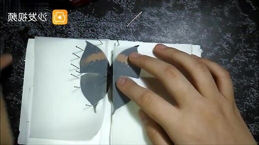 蝴蝶死在家