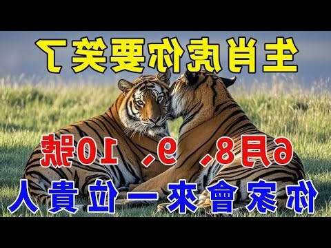 虎生肖