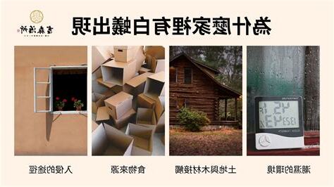 白蟻出現代表什麼風水