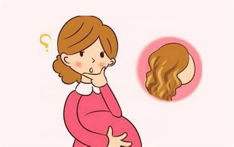 孕婦剪頭髮ptt
