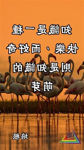 自癒語錄