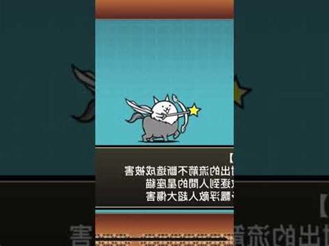 射手座貓