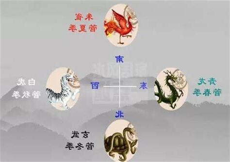 左青龍右北虎前朱雀後玄武中間是什麼