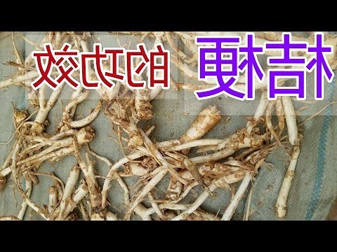 桔梗梨汁禁忌
