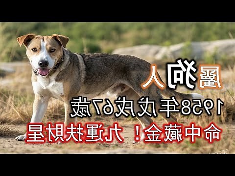 屬狗的六合