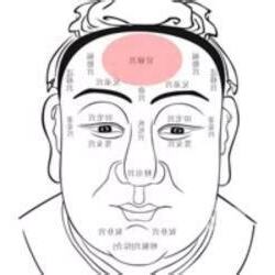 額頭圓潤