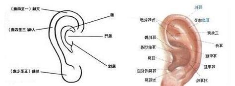 右耳朵有痣男