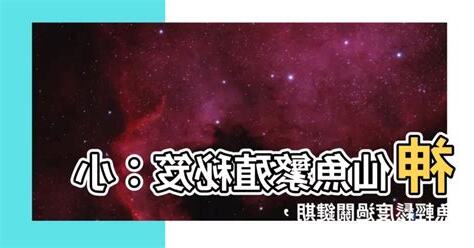神仙魚繁殖秘笈
