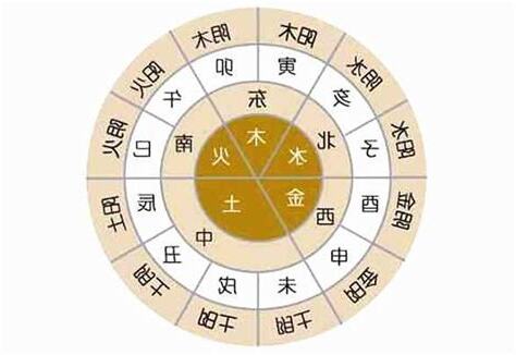 十二地支特性