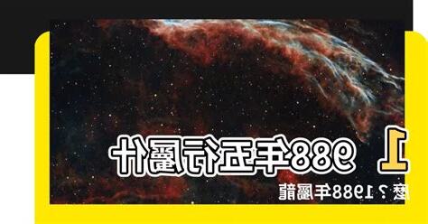1988屬什麼