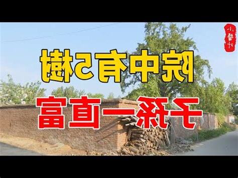 桃花樹風水