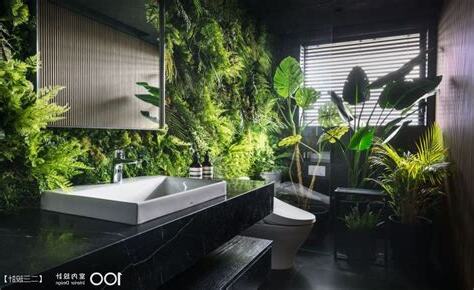浴室植栽