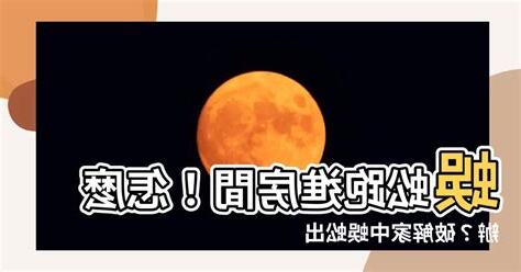 蜈蚣跑進房間
