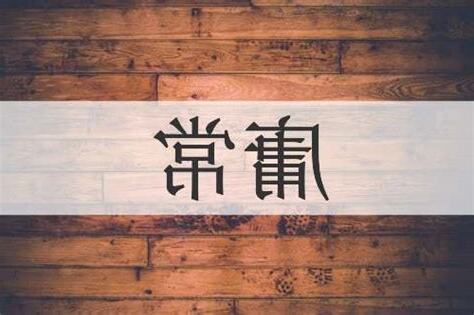 庸意思