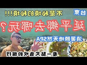 台東縣延平鄉公所