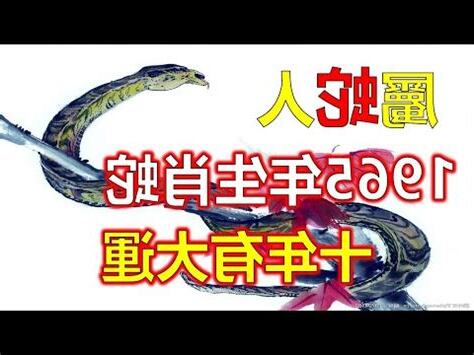 2023蛇年運程1965男