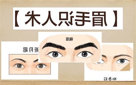 眉毛的面相