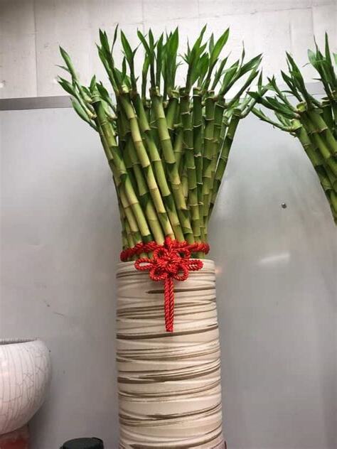 開運竹功效