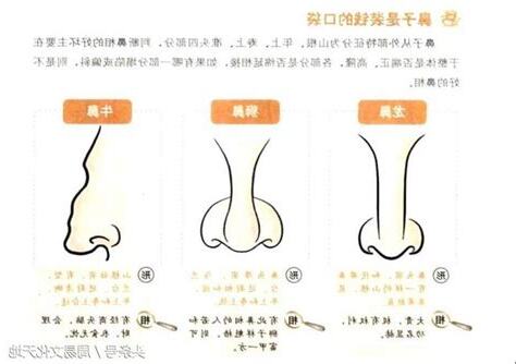 龍鼻面相