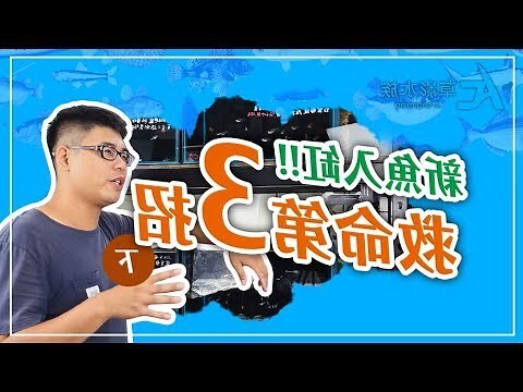 養魚對水