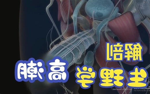 生男的方法