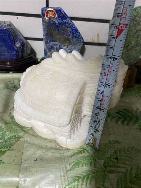 龍龜寓意