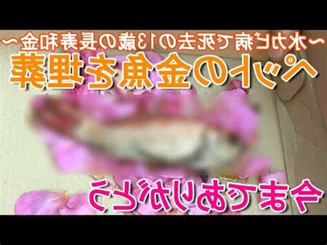 金魚埋葬