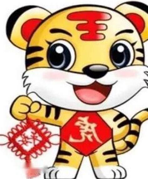 屬虎適合的名字