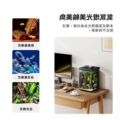 辦公室水族箱風水