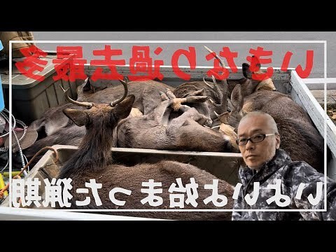 剃雉步驟