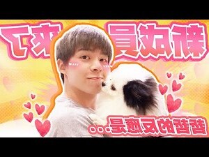 核心家庭成員