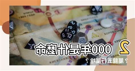 2000是什麼年