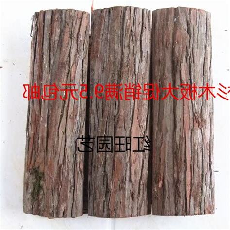 蛇木板替代