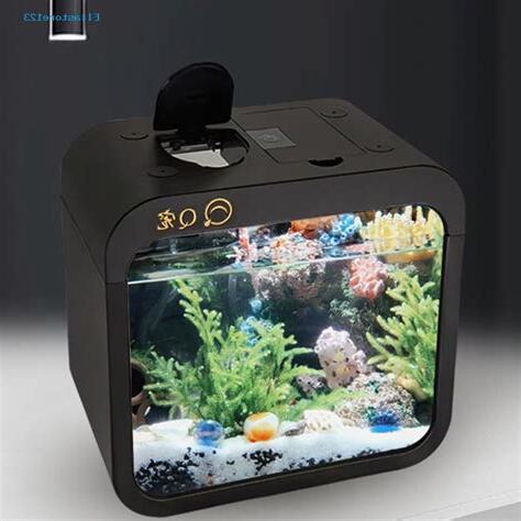 辦公室小魚缸