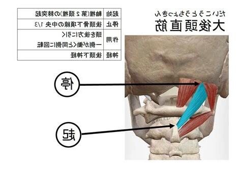 上頭擺設