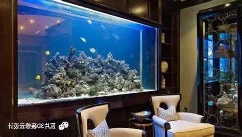 明財位可以放魚缸嗎
