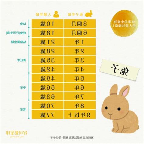 兔年生育率