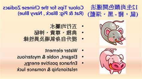 屬鼠五行顏色