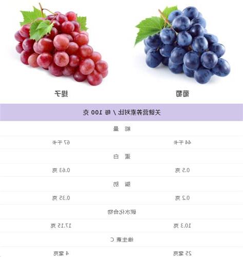 提子意思
