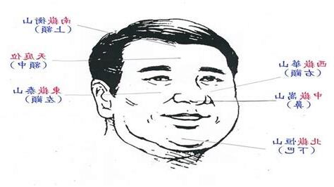 人面相