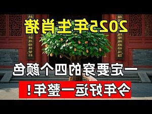 生肖五行顏色