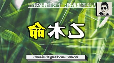 乙木命