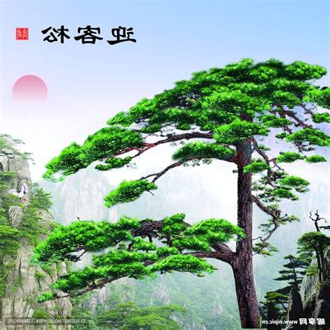 迎客松寓意
