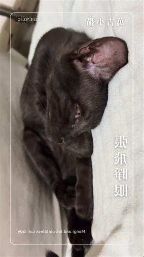 睜眼睡覺面相