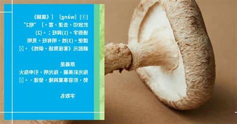旺山是什麼意思