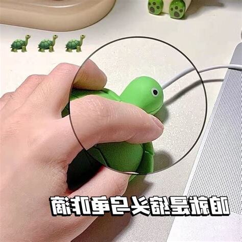 烏龜個性