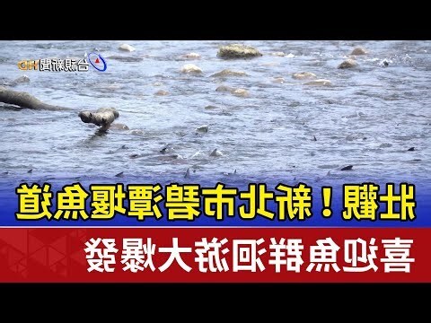 夢見魚是什麼意思
