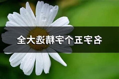 五字名字